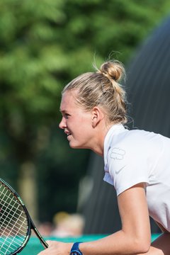 Bild 598 - BL Club an der Alster - TEC Waldau Stuttgart : Ergebnis: 5:4